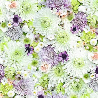 Backing - Maywood - Hand Picked