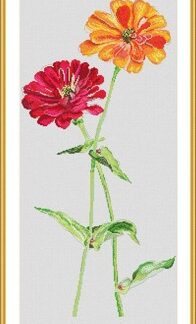 'Two Crossed Zinnias' Cross Stitch Kit